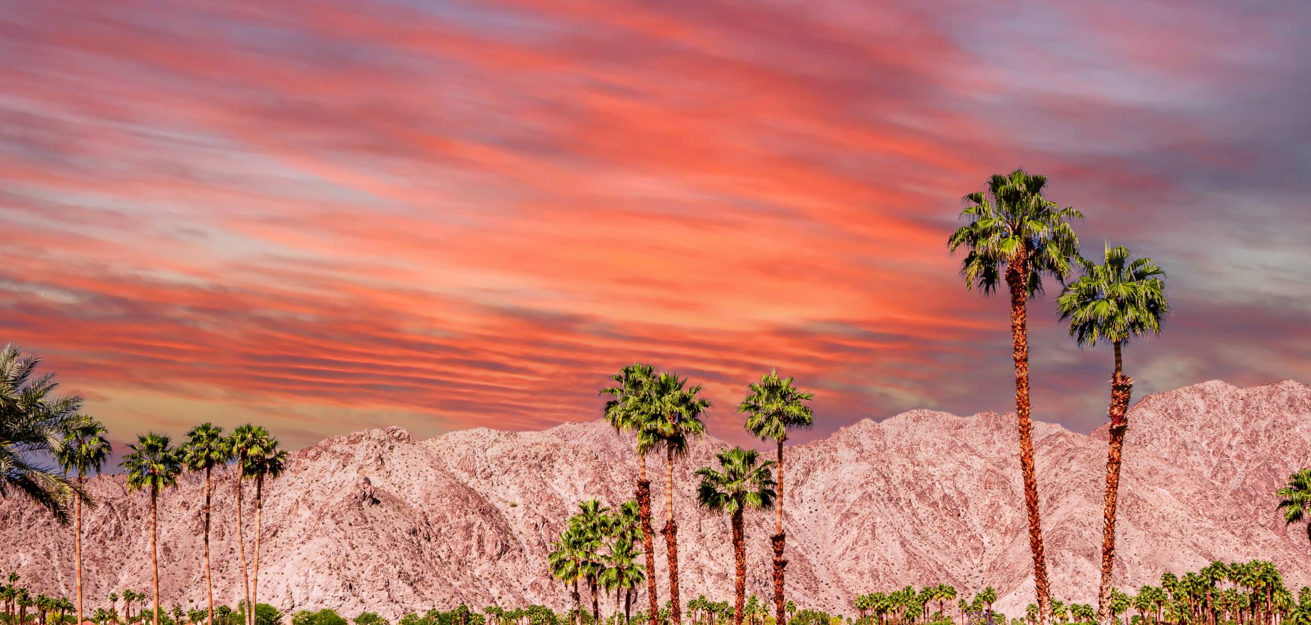 Palm Springs La Quinta Vacation Rentals Royale Vacation Rentals